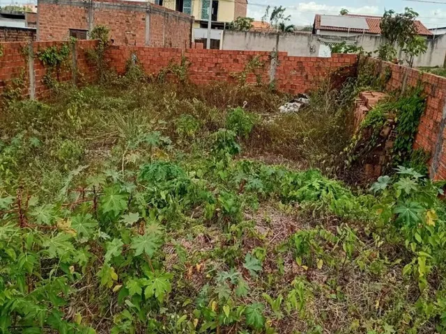 Imagem 11: Terreno no Pindorama