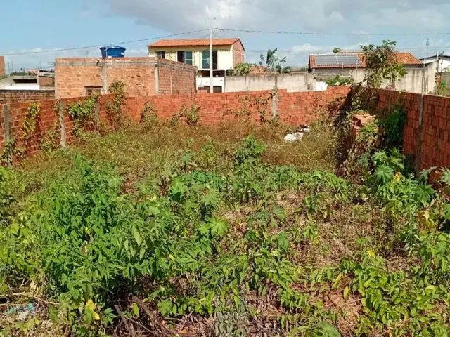 Imagem 12: Terreno no Pindorama