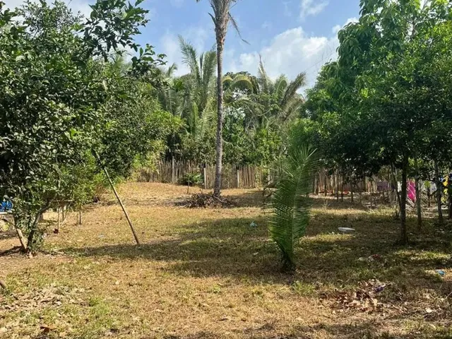 Imagem 1: Vendo Terreno Grande -(Área Verde