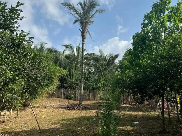 Imagem 2: Vendo Terreno Grande -(Área Verde