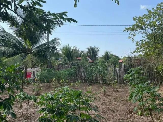Imagem 3: Vendo Terreno Grande -(Área Verde