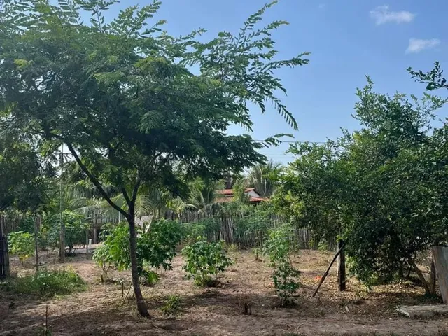 Imagem 4: Vendo Terreno Grande -(Área Verde