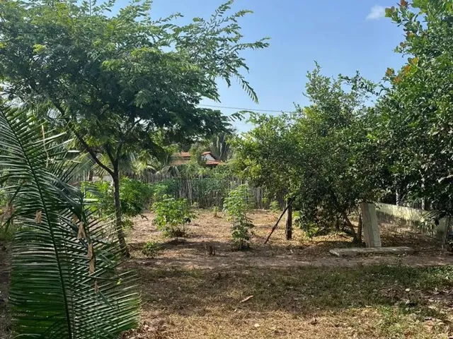 Imagem 5: Vendo Terreno Grande -(Área Verde