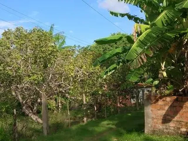Imagem: Vendo Ou Troco Este Terreno com Área Verde