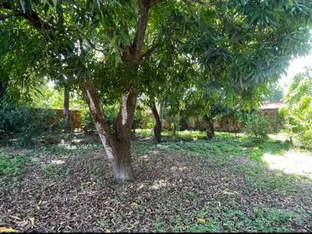 Imagem 5: Rua São Francisco, Próximo da Rua do Campo