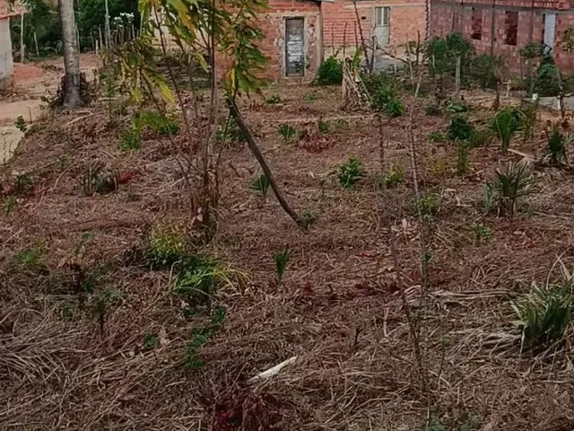 Imagem 3: Terreno 10X40M Documentado