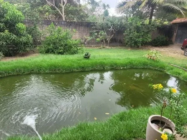 Imagem: Lindo Sítio pra Morar Ou Veraneio - 800M2