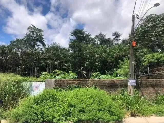 Imagem 4: Terreno no Turu Prox. Ao Lebaron