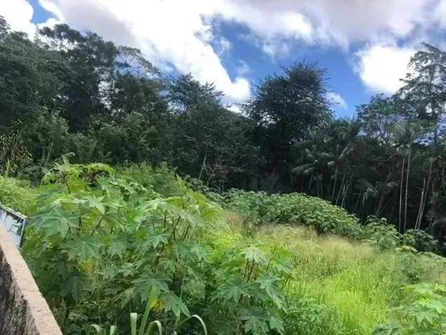Imagem 5: Terreno no Turu Prox. Ao Lebaron