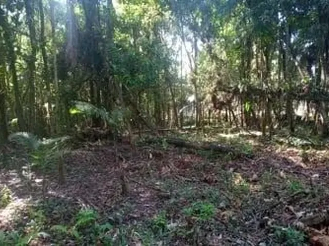 Imagem 2: Terreno 2 Hectares em São Joaquim, São Luís-Ma Próximo À Estrada do Quebra Pote