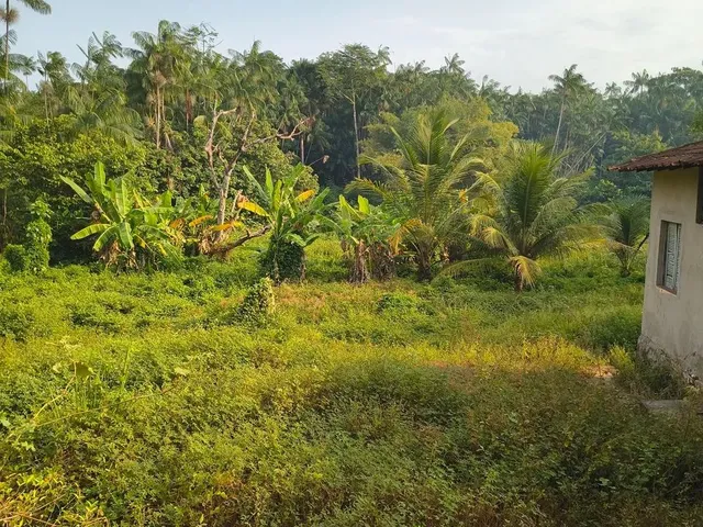 Imagem: Vende-Se Um Excelente Terreno!