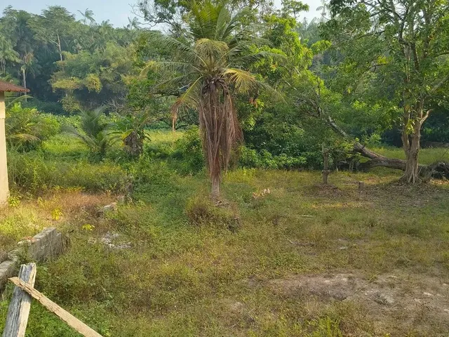 Imagem 3: Vende-Se Um Excelente Terreno!