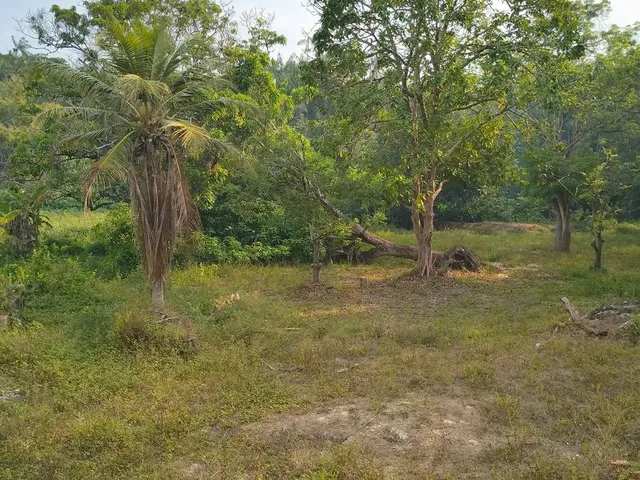 Imagem 4: Vende-Se Um Excelente Terreno!