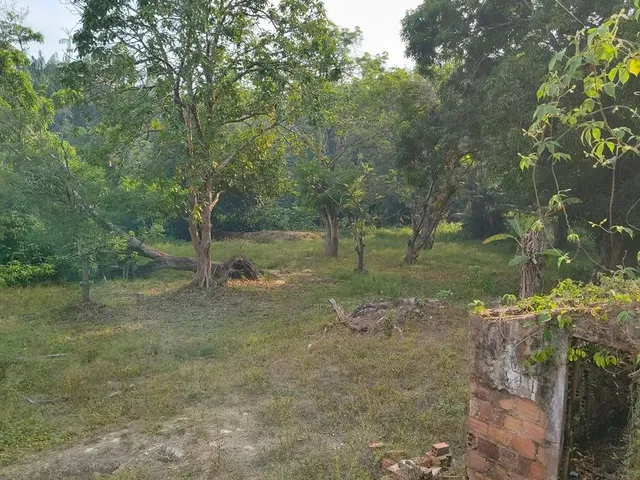 Imagem 5: Vende-Se Um Excelente Terreno!