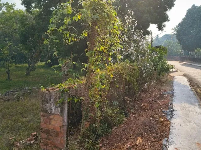 Imagem 7: Vende-Se Um Excelente Terreno!