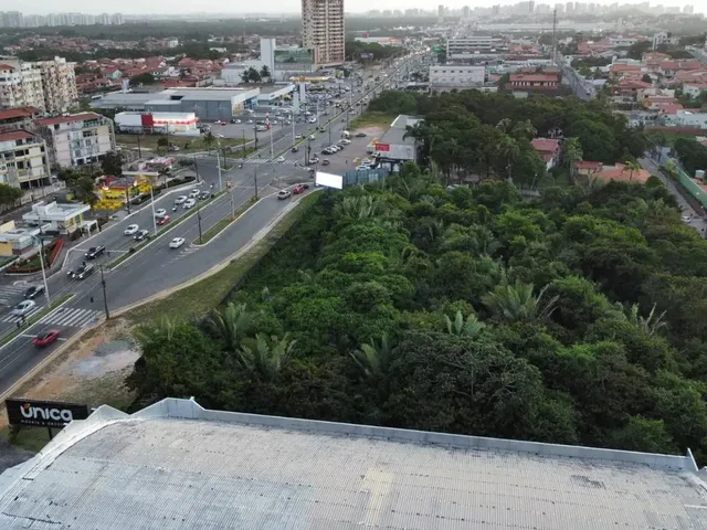 Imagem 7: Lote com 9.900 M², Próximo da Praia Litoranea, Parque Atlântico - São Luís