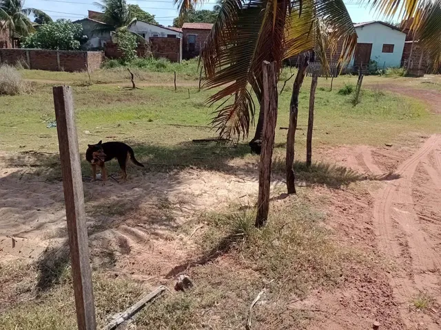 Imagem: Lotes de Terrenos em Praia de Zumbi