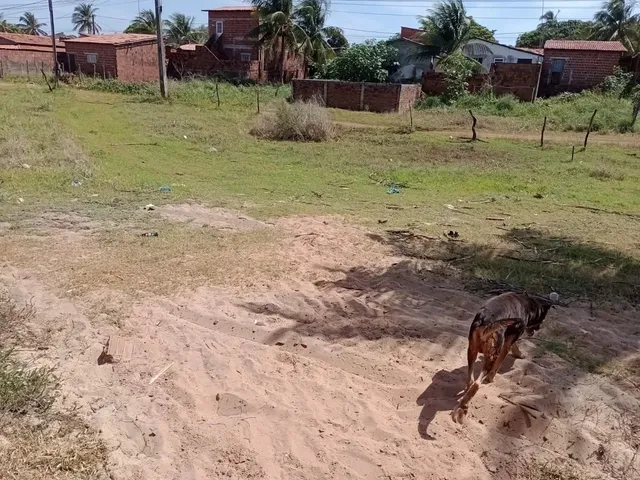 Imagem 3: Lotes de Terrenos em Praia de Zumbi