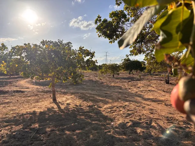 Imagem: Sítio em Lagoa Nova
