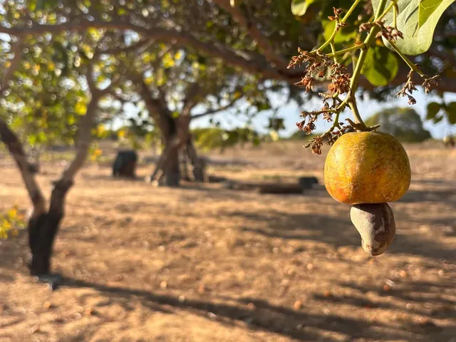 Imagem 4: Sítio em Lagoa Nova