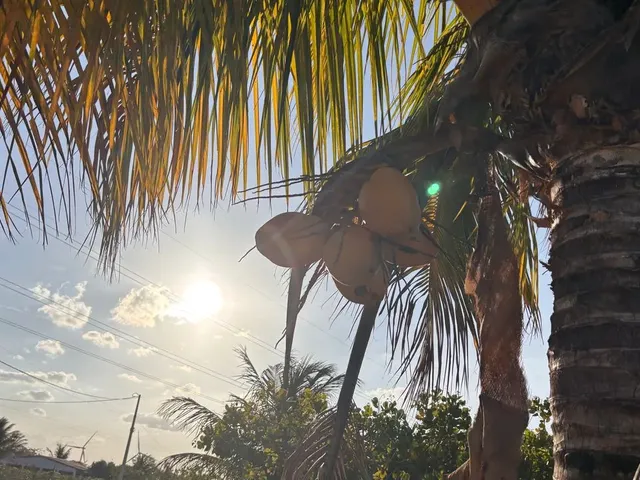 Imagem 8: Sítio em Lagoa Nova