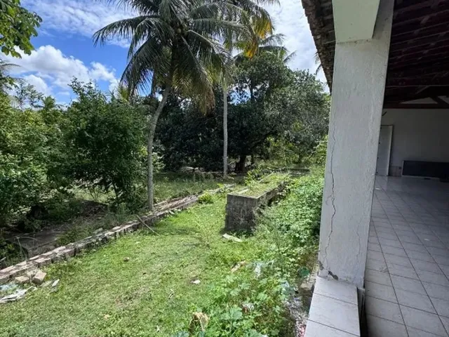 Imagem 9: Chacará Espaçosa no Bairro Guarapes