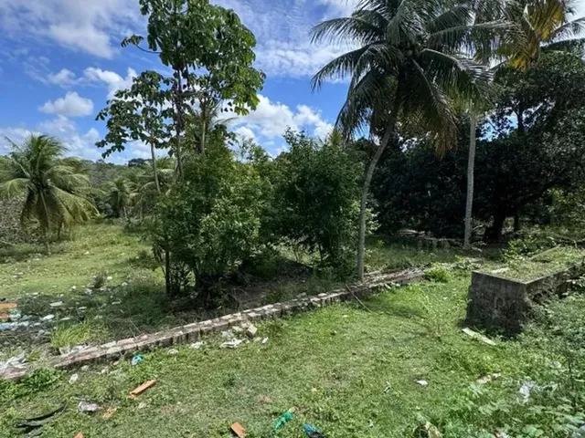 Imagem 7: Chacará Espaçosa no Bairro Guarapes