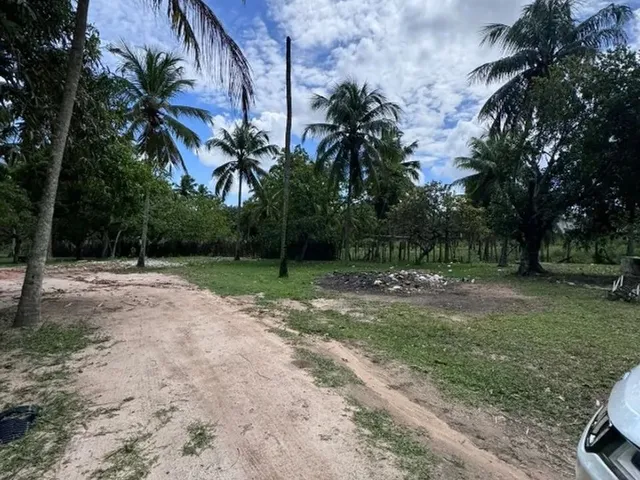 Imagem 5: Chacará Espaçosa no Bairro Guarapes