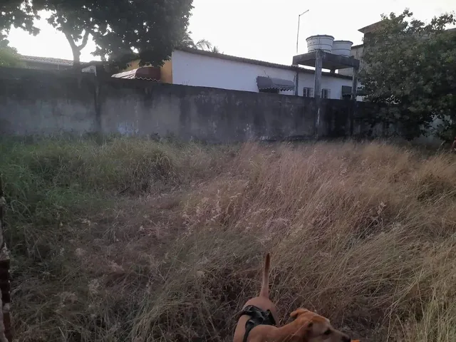 Imagem 2: Terreno 11 X 23 Terreno / lote com venda por R$75.000
