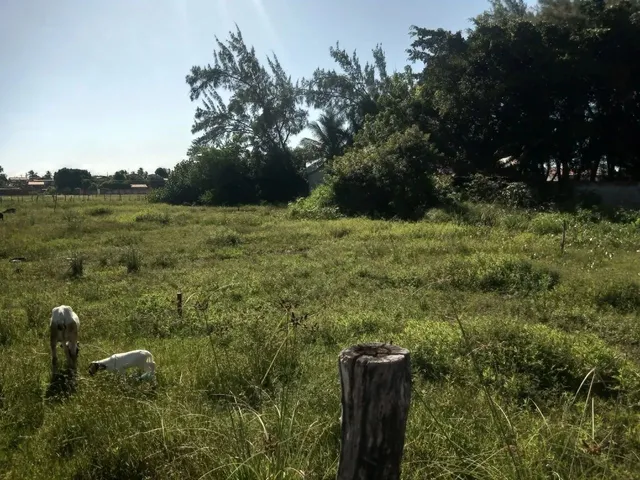 Imagem: Terreno de 2.600 Metros Quadrados em Maracajaú