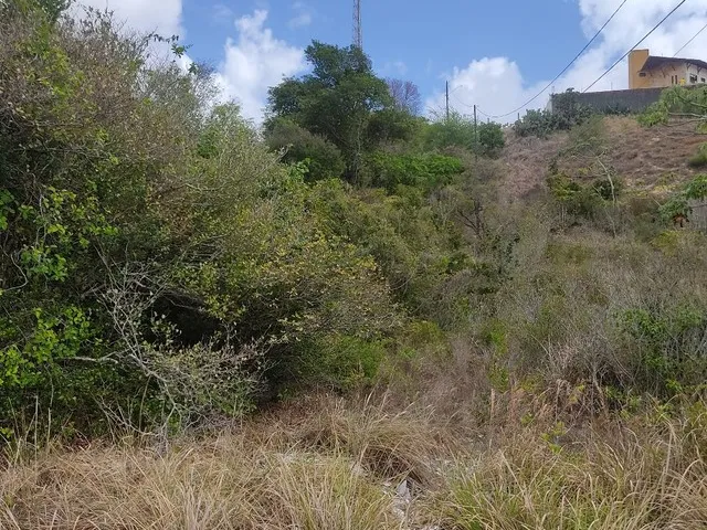 Imagem 7: Vende-Se 2 Terrenos no Parque das Colinas R$ 150Mil