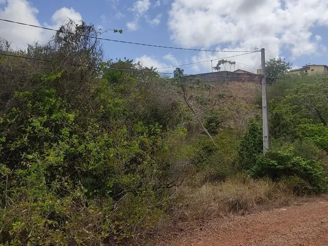 Imagem 6: Vende-Se 2 Terrenos no Parque das Colinas R$ 150Mil