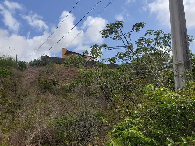 Imagem 2: Vende-Se 2 Terrenos no Parque das Colinas R$ 150Mil