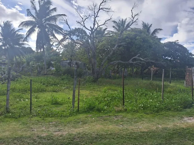 Imagem 2: Terreno a Venda/Troca no Bairro santa Cecília