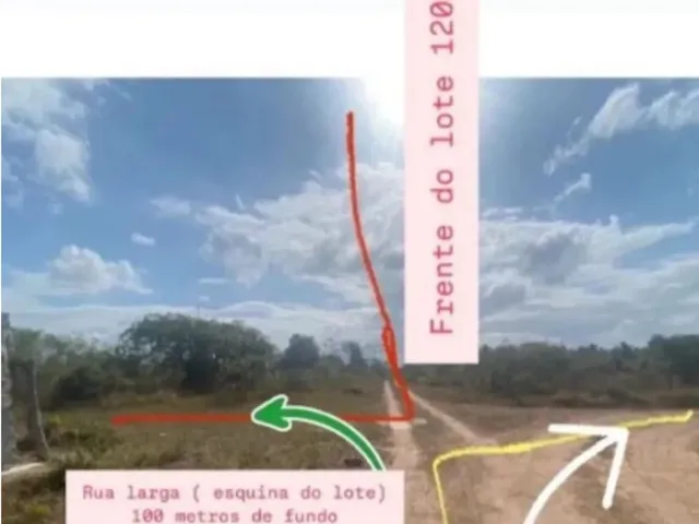 Imagem 2: Excelente para Granja À Venda - Oportunidade!