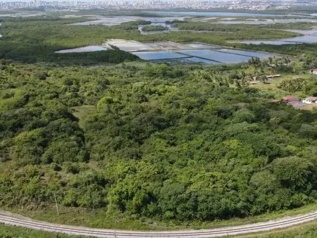 Imagem: Compro 7,5Ha de Mata Atlântica em Macaíba