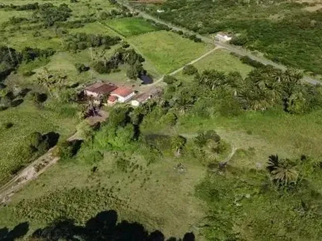 Imagem: Excelente Fazenda com 50 Hectares na Região