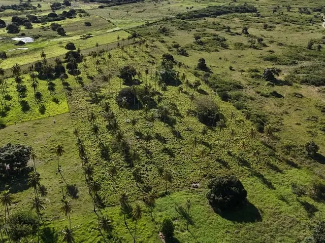 Imagem: Fazenda com 50 Hectares na Região de São