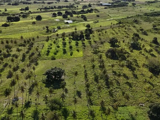 Imagem 5: Fazenda com 50 Hectares na Região de São Gonçalo do Amarante Cortada pelo Rio Potengi