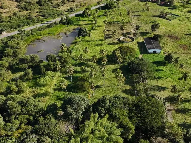 Imagem 9: Fazenda com 50 Hectares na Região de São Gonçalo do Amarante Cortada pelo Rio Potengi