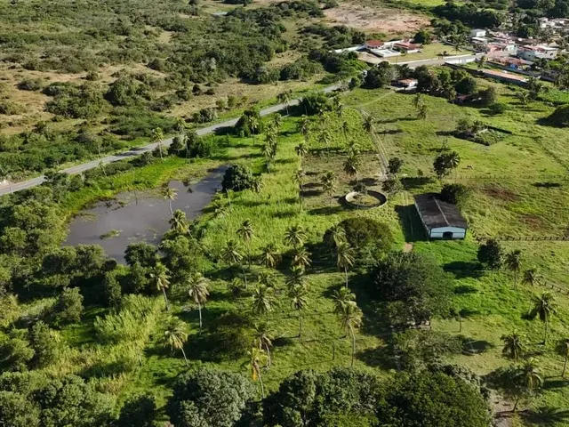 Imagem 7: Fazenda com 50 Hectares na Região de São Gonçalo do Amarante Cortada pelo Rio Potengi
