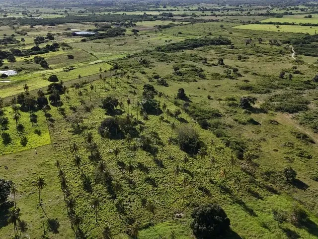Imagem 11: Fazenda com 50 Hectares na Região de São Gonçalo do Amarante Cortada pelo Rio Potengi