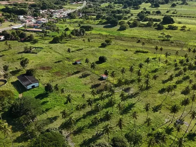 Imagem 8: Fazenda com 50 Hectares na Região de São Gonçalo do Amarante Cortada pelo Rio Potengi