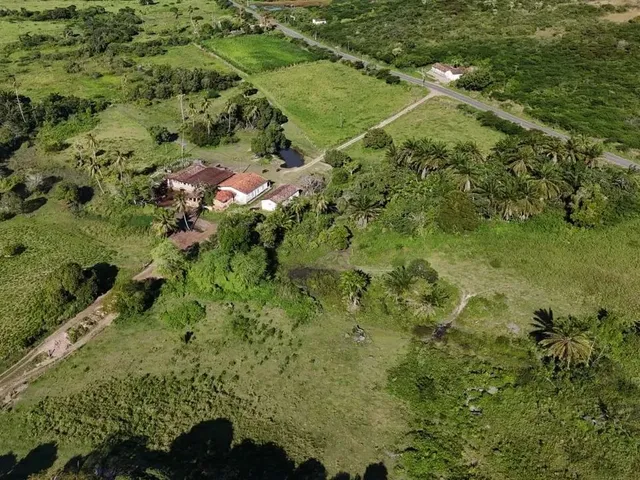 Imagem 4: Fazenda com 50 Hectares na Região de São Gonçalo do Amarante Cortada pelo Rio Potengi