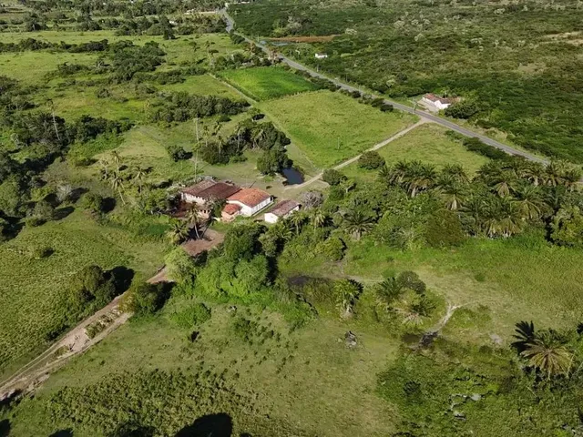 Imagem 6: Fazenda com 50 Hectares na Região de São Gonçalo do Amarante Cortada pelo Rio Potengi