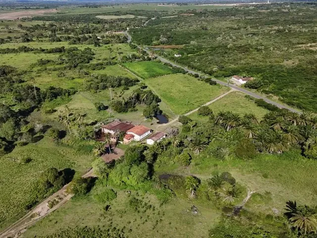 Imagem 10: Fazenda com 50 Hectares na Região de São Gonçalo do Amarante Cortada pelo Rio Potengi