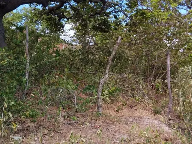 Imagem: Terreno em Genipabu a 1 Quilômetro do Centro