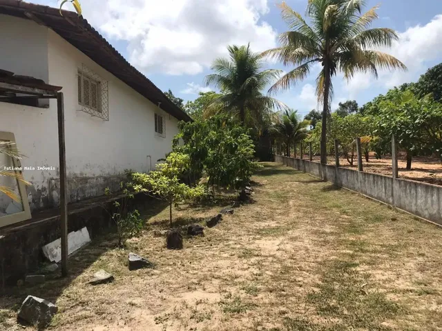 Imagem: Granja para Venda em São José de Mipibu