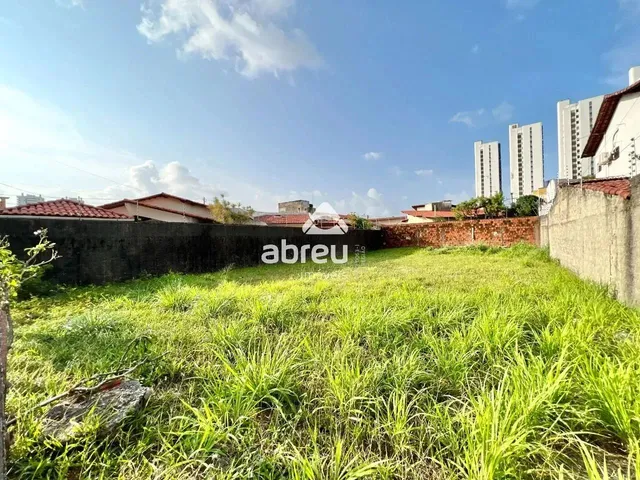 Imagem 4: Terreno em Capim Macio
