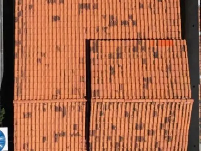 Imagem 2: Casa Térrea com Laje e Terreno de 420M2